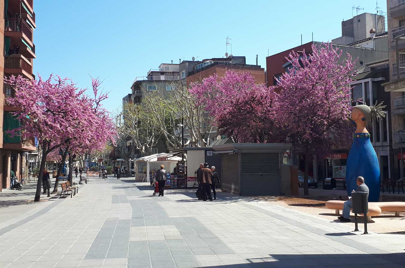 Divorcios Express en Mollet del Valles